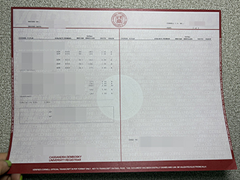 Cornell University transcript-1
