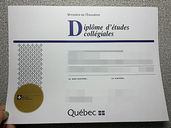DCS Certificate-1