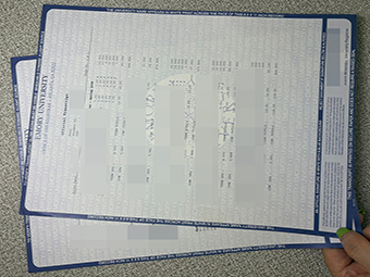 Emory-universiteit transcript-1