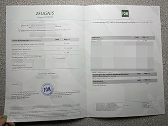 FOM Zeugnis-1