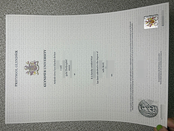 Glyndwr University diploma-1