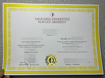 NEU diploma-1