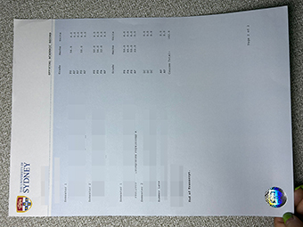 USYD transcript-1