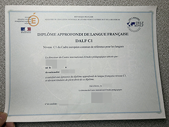 DALF C1 인증서-1