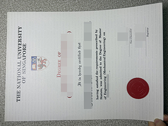 NUS diploma-1
