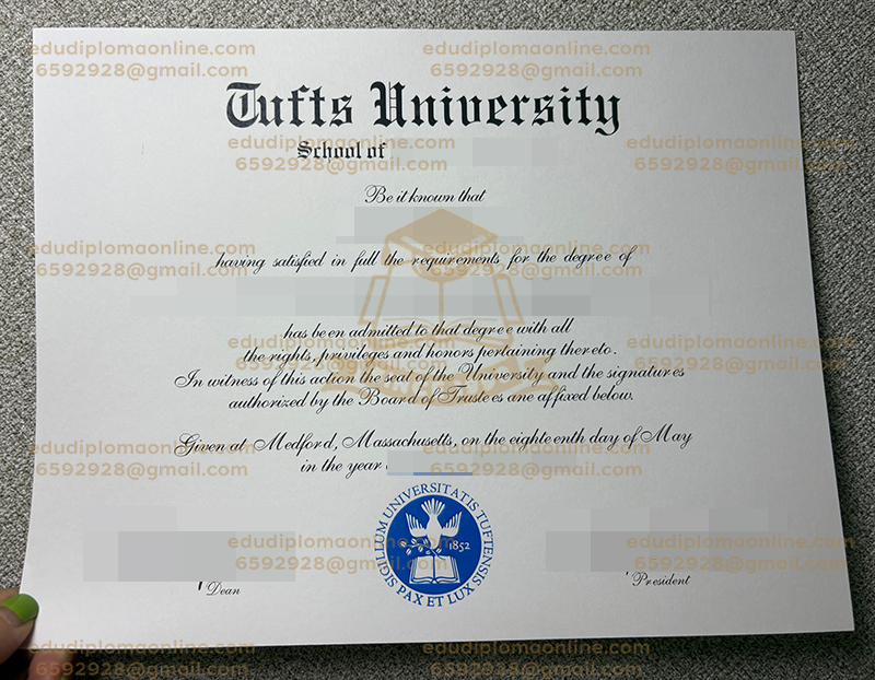 Tufts University degree
