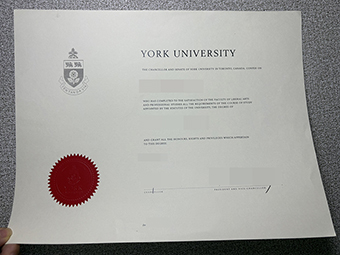 York University degree-1