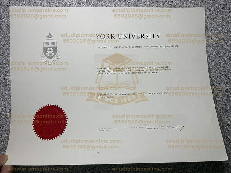 York University degree