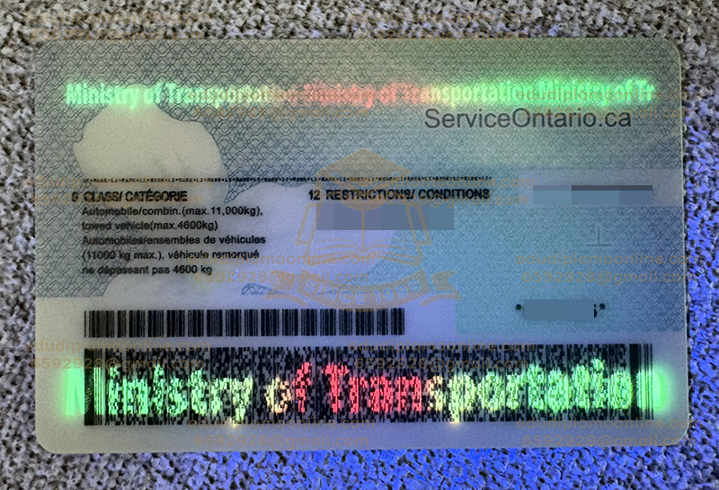 온타리오 ID 백 워터마크