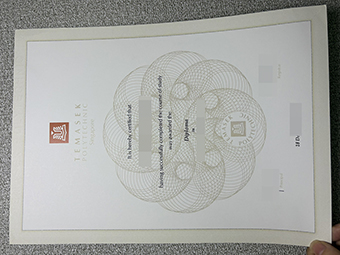 Temasek Polytechnic diploma-1