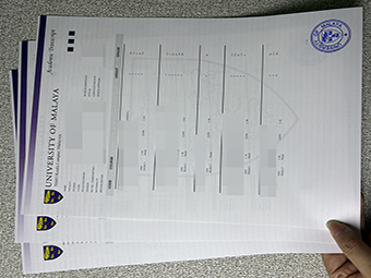 말라야 대학교 성적 증명서 -1