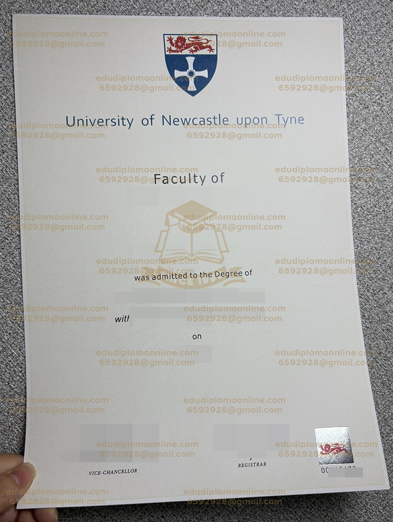 University of Newcastle degree