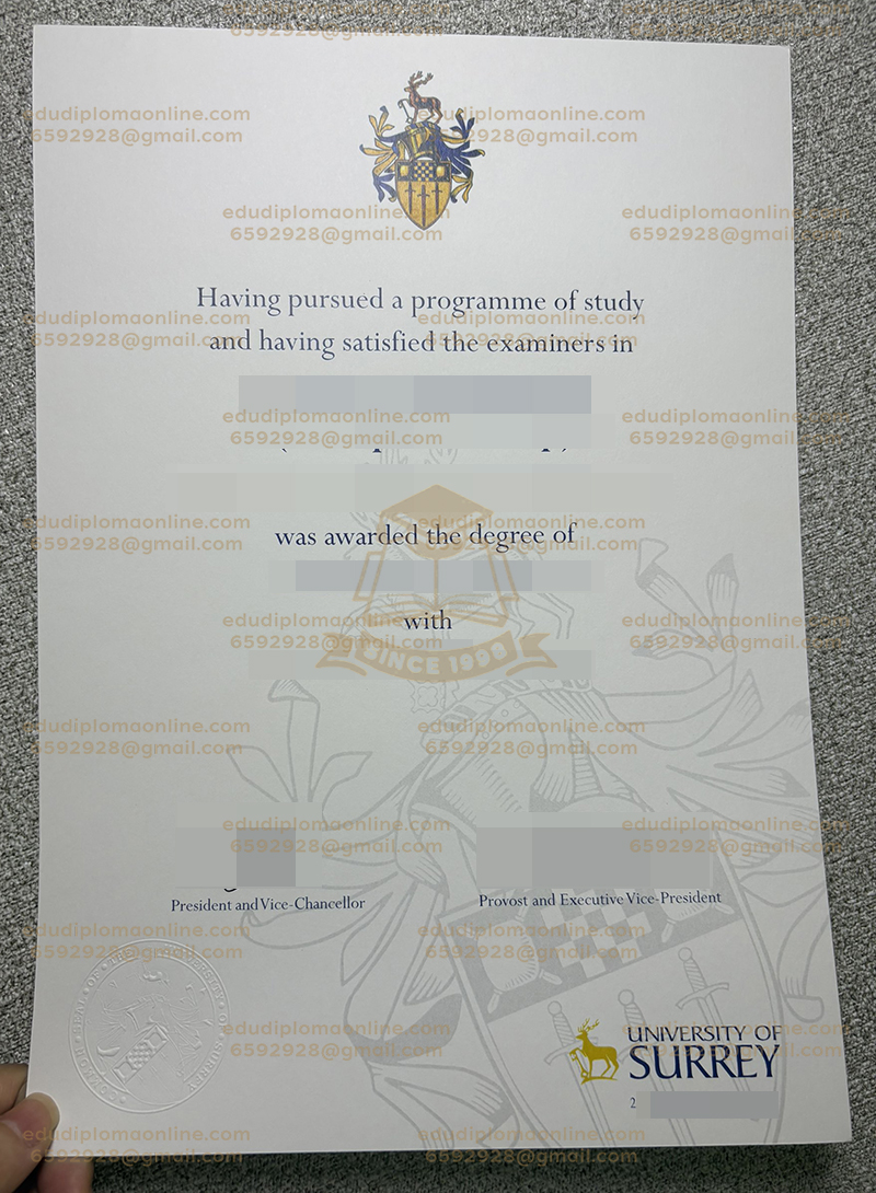 サリー大学の学位